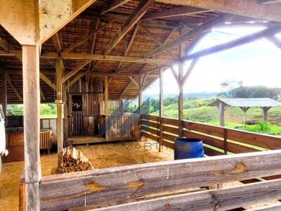 IMPERDÍVEL! IMÓVEL RURAL À VENDA EM AURORA - SC