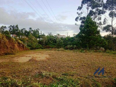 TERRENO  COMERCIAL À VENDA – SANTA TEREZA - AURORA/SC