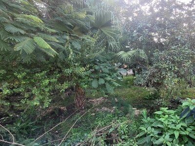 Terreno à Venda no Centro de Ituporanga - SC