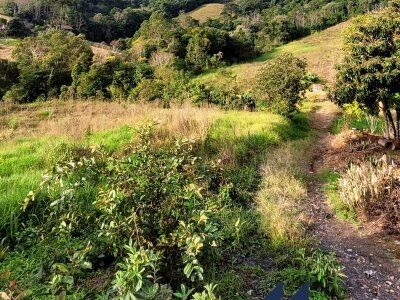 Terreno Urbano à Venda em Ituporanga/SC