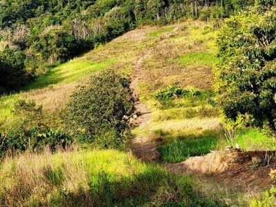 Terreno Urbano à Venda em Ituporanga/SC