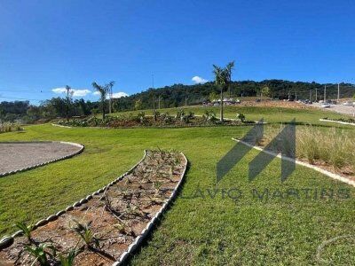 Imperdível! Terrenos à venda no Loteamento Viebrantz – Lontras/SC