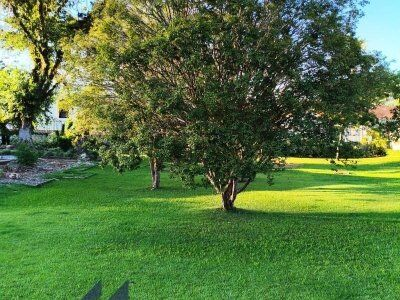 Terreno à venda em José Boiteux/SC – Excelente oportunidade!