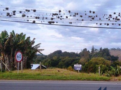 Imperdível baixou o preço! Terreno Urbano Comercial