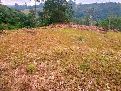 TERRENO  COMERCIAL À VENDA – SANTA TEREZA - AURORA/SC