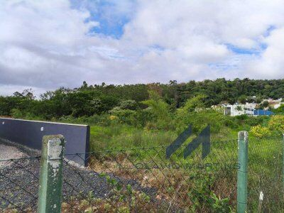Terreno Comercial / Industrial à Venda – Bairro Taboão - Rio do Sul (SC)