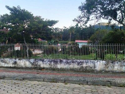 Excelente oportunidade!  Terreno à venda em José Boiteux/SC