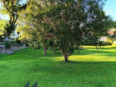 Terreno à venda em José Boiteux/SC – Excelente oportunidade!